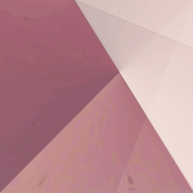 ROSE LUX 9