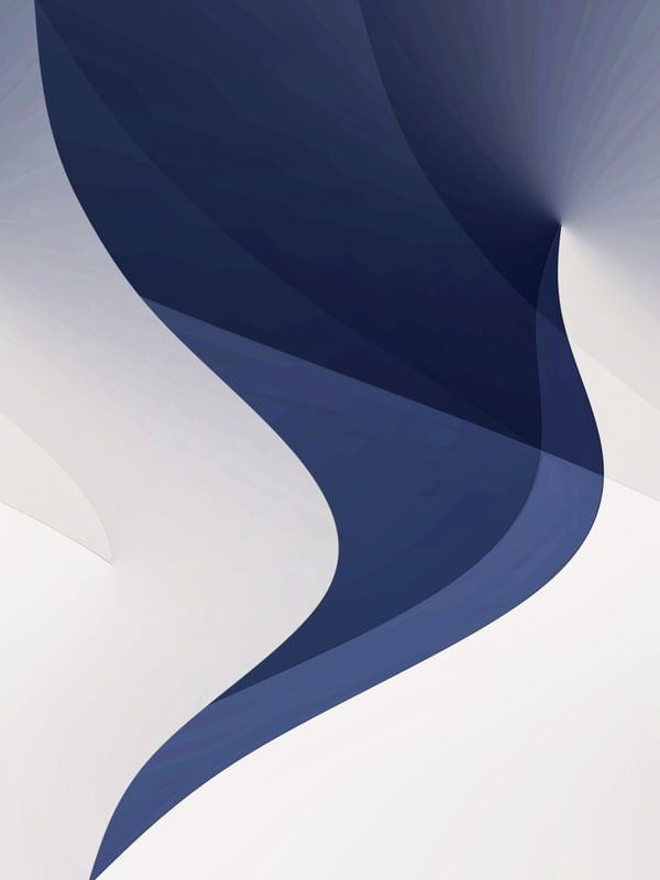FRENCH BLUE SWIRL 2