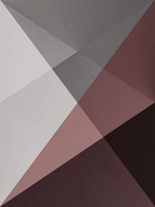 ROUGE PRISMA 2