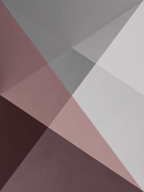 ROUGE PRISMA 6