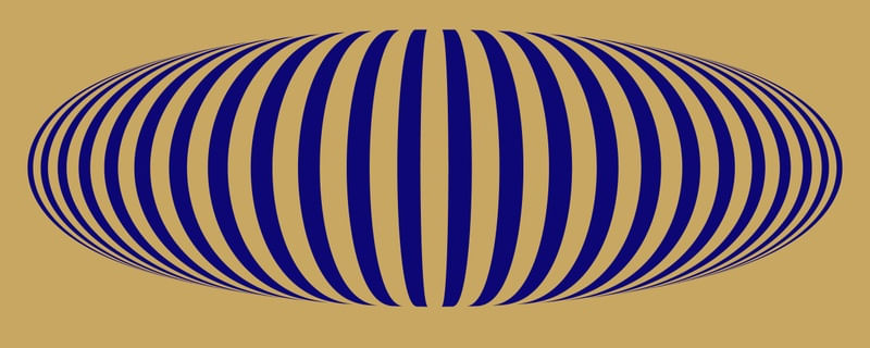 DISCO 05
