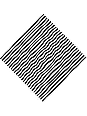 ZIG 01