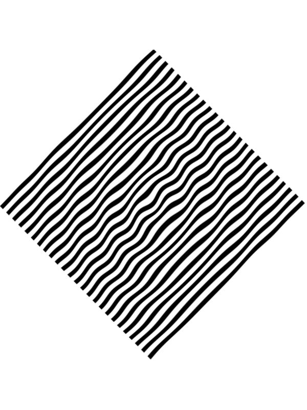 ZIG 01