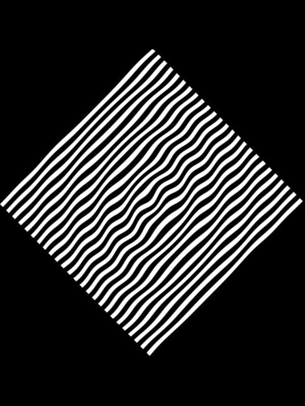 ZIG 02