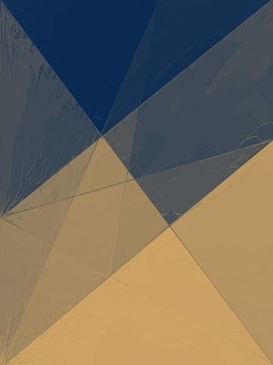 BR FLAG 7