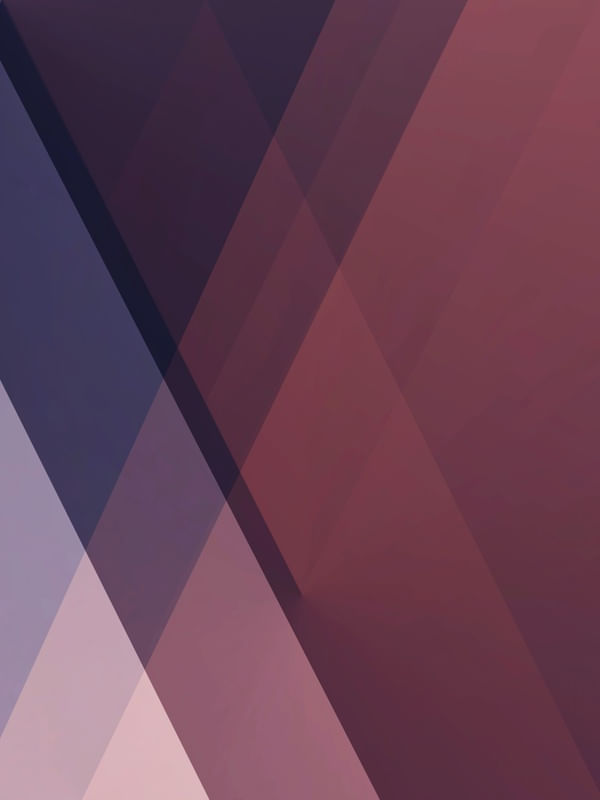 TULIX ROSE 4