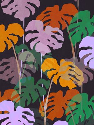 MONSTERA 4TD