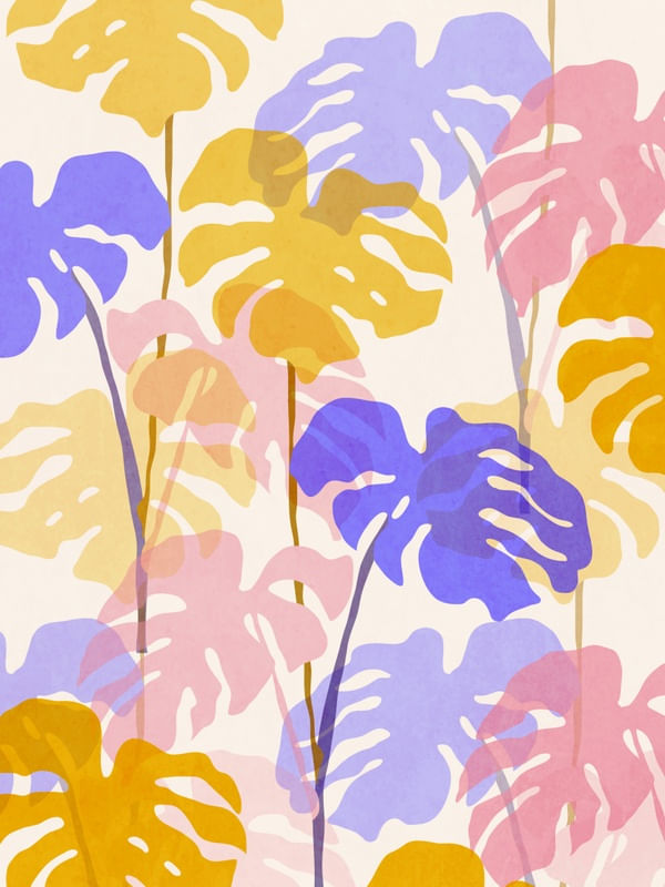 MONSTERA 3TD