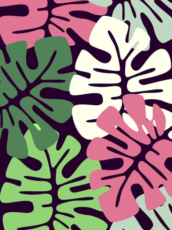 MONSTERA-2TD