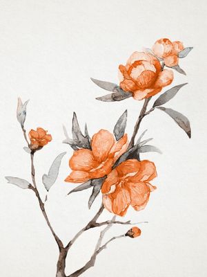 FLOWERS / 65
