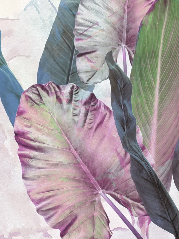 TROPICAL LEAVES-TD