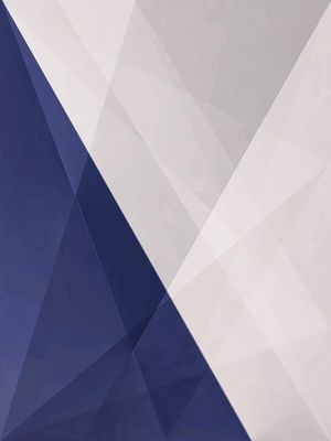 WHITE BLUE FOXX