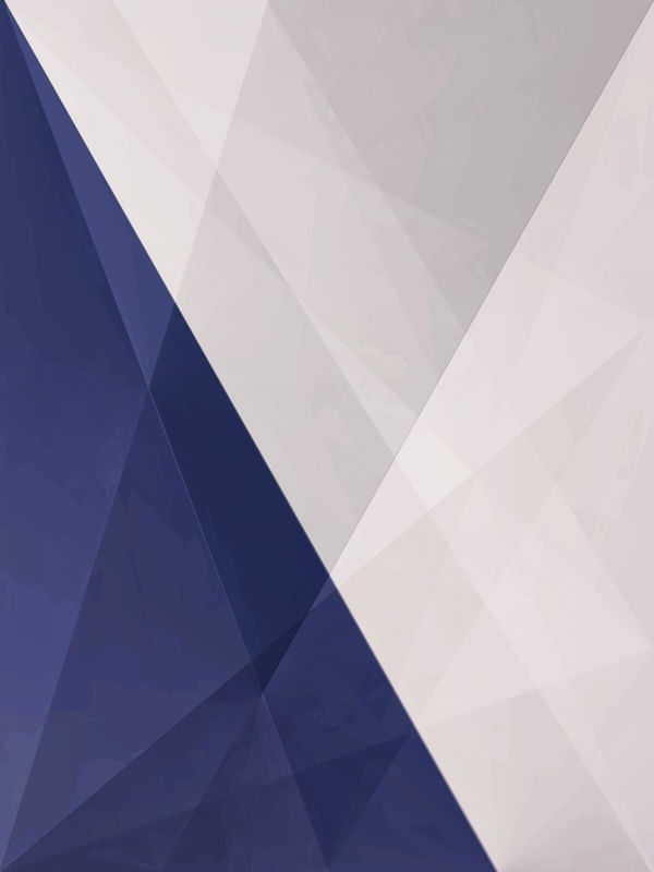WHITE BLUE FOXX