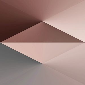 SOFT ROSE CONIXX