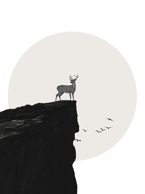 DEER/TD