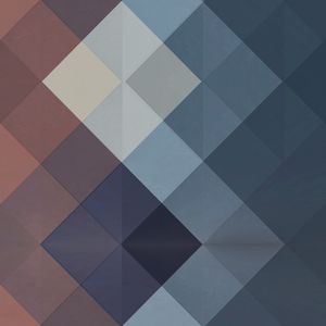 FIRST PRISMA CASE