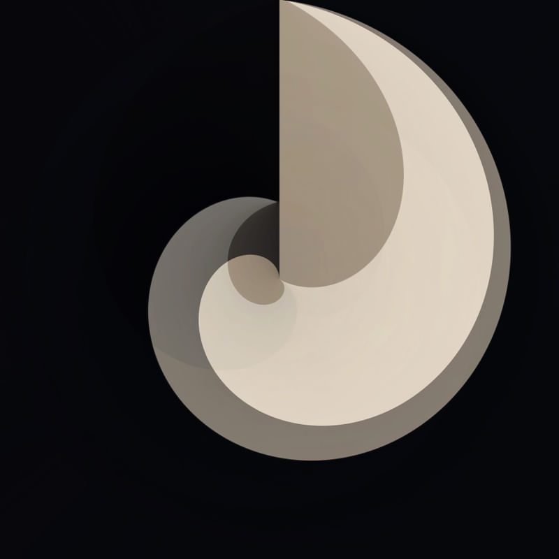 QUASAR BLACK GOLD TWO