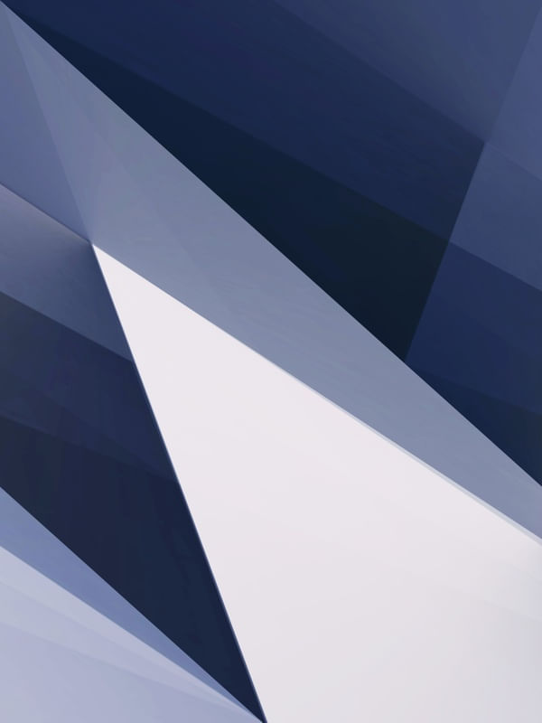 ACANTHUS BLUE TWO
