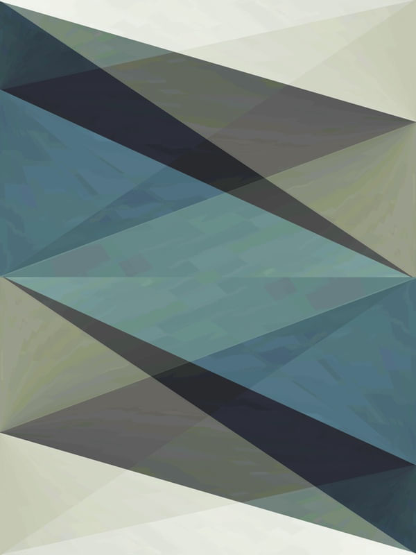 FLUXX ODDE