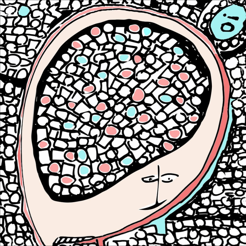 CRAZY BRAIN