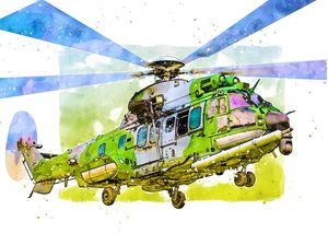 SUPER PUMA