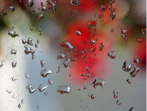 GOTAS IMG_9761