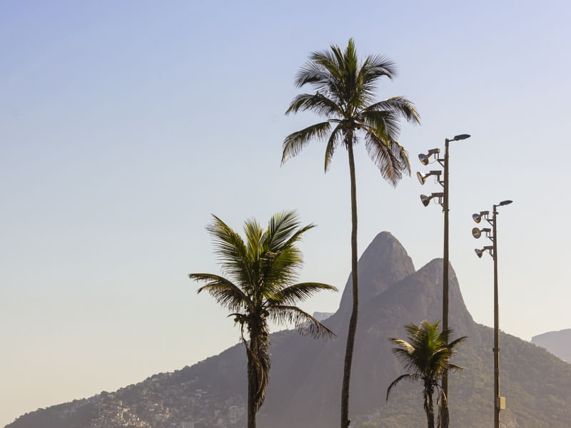 IPANEMA CLEAN