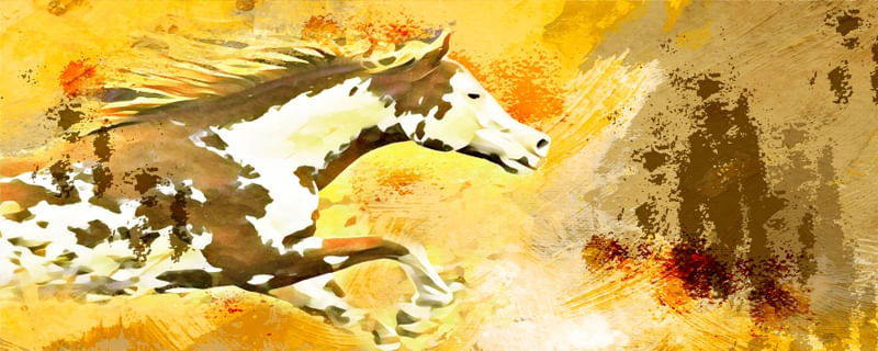 FUERZA EQUINA