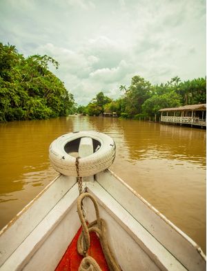 CENA AMAZONICA