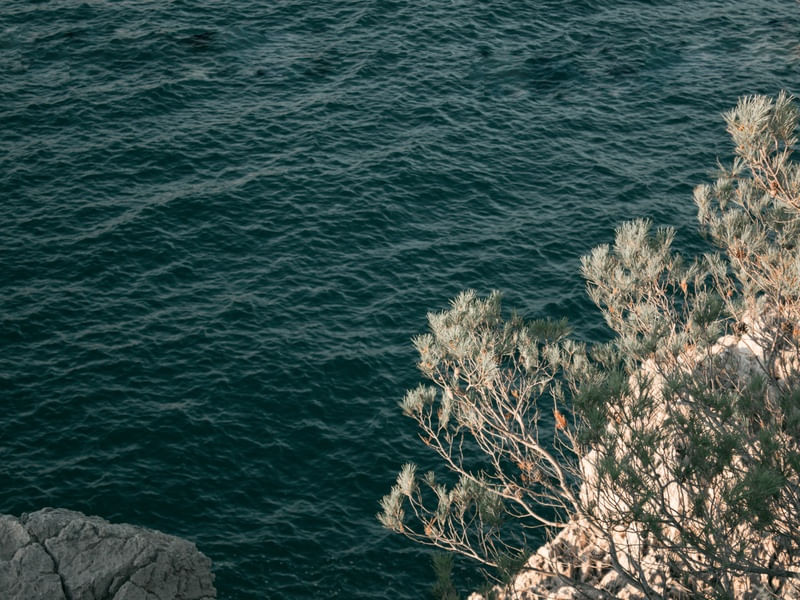 MAR E CONTRASTE