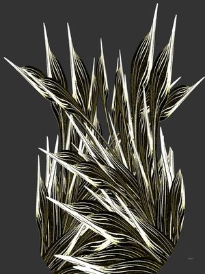 ABSTRACT - PLANT 1979