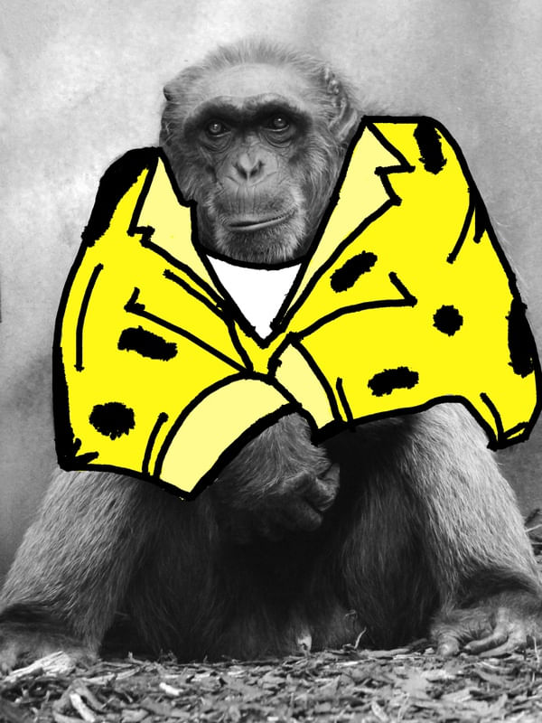 BANANA BLAZER