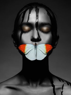 BUTTERFLY 01
