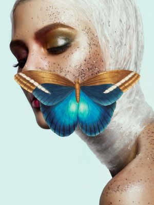 BUTTERFLY 02