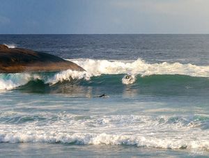 ARPOADOR COM SURFE