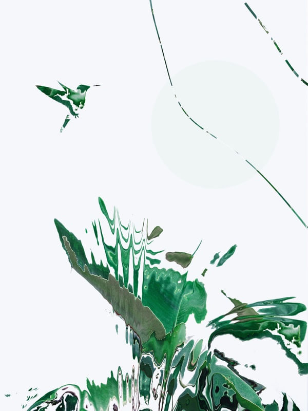 BEIJA-FLOR ABSTRATO