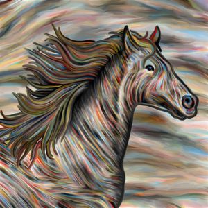 CAVALO 005