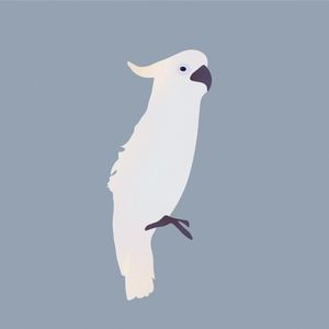 PAPAGAIO MINIMALISTA