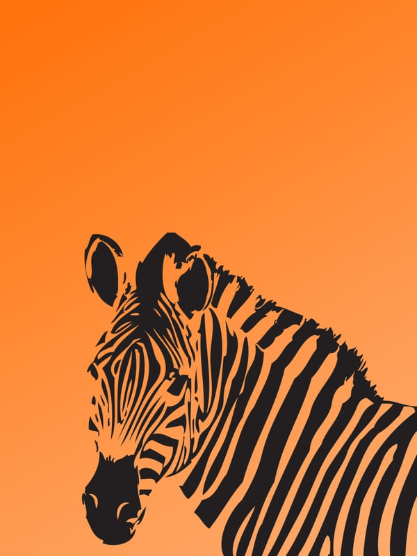 ZEBRA AO PÔR DO SOL