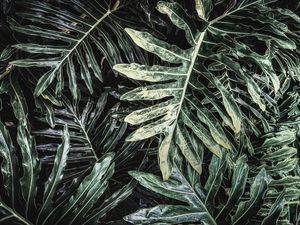 O VERDE NA SUA PAREDE III - PAISAGEM
