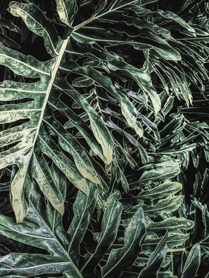 O VERDE NA SUA PAREDE III - DÍPTICO DIREITA