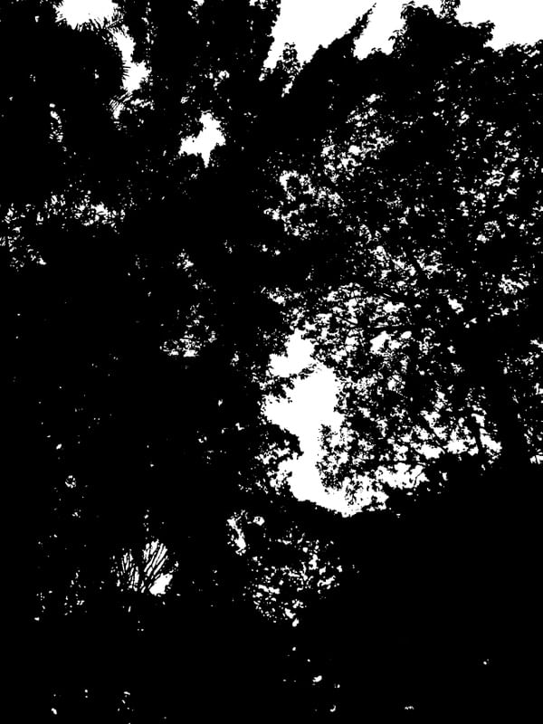 BLACK AND WHITE 08