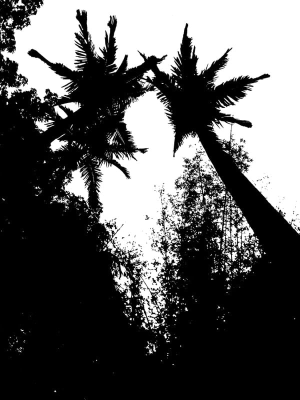 BLACK AND WHITE 09