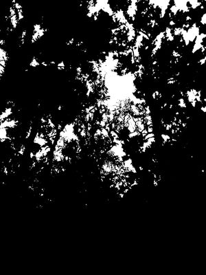 BLACK AND WHITE 10