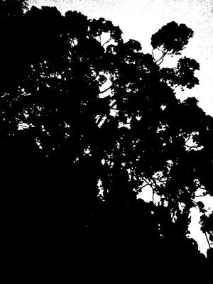 BLACK AND WHITE 11