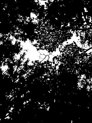 BLACK AND WHITE 15