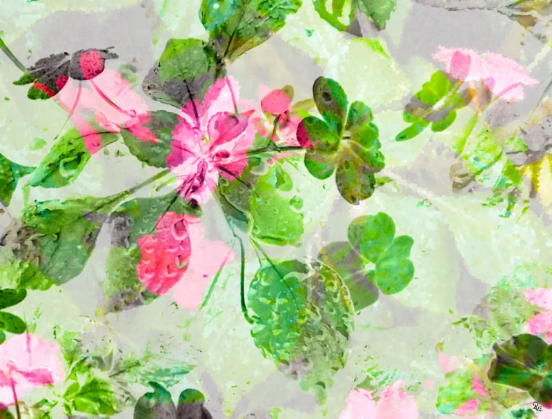 PRIMAVERA2