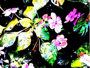 PRIMAVERA3