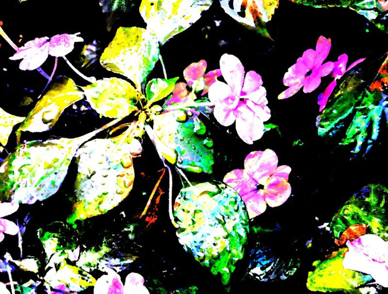 PRIMAVERA3