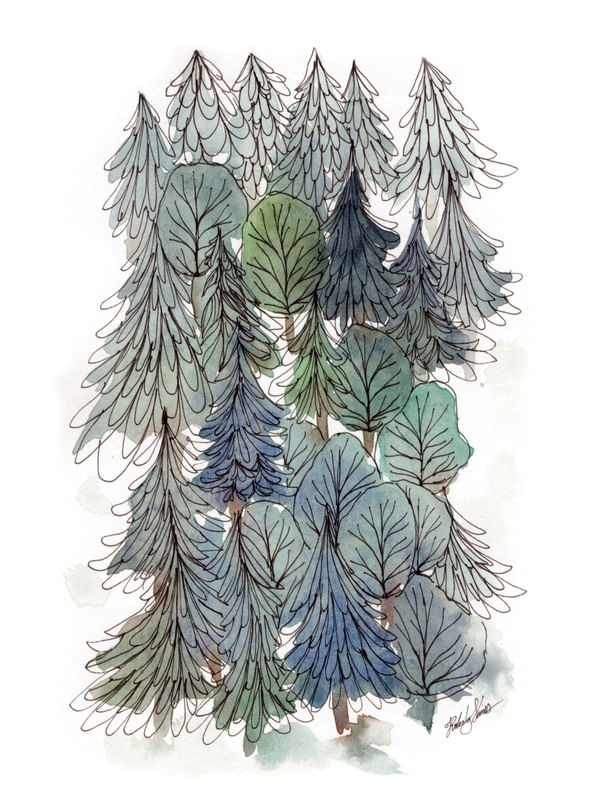 FLORESTA DE CONÍFERAS EM AQUARELA